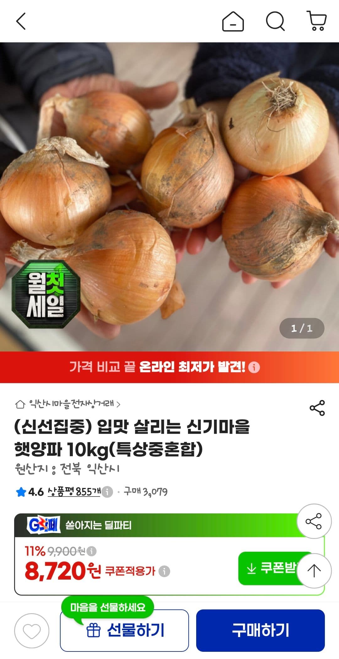 신기마을 햇양파 10kg