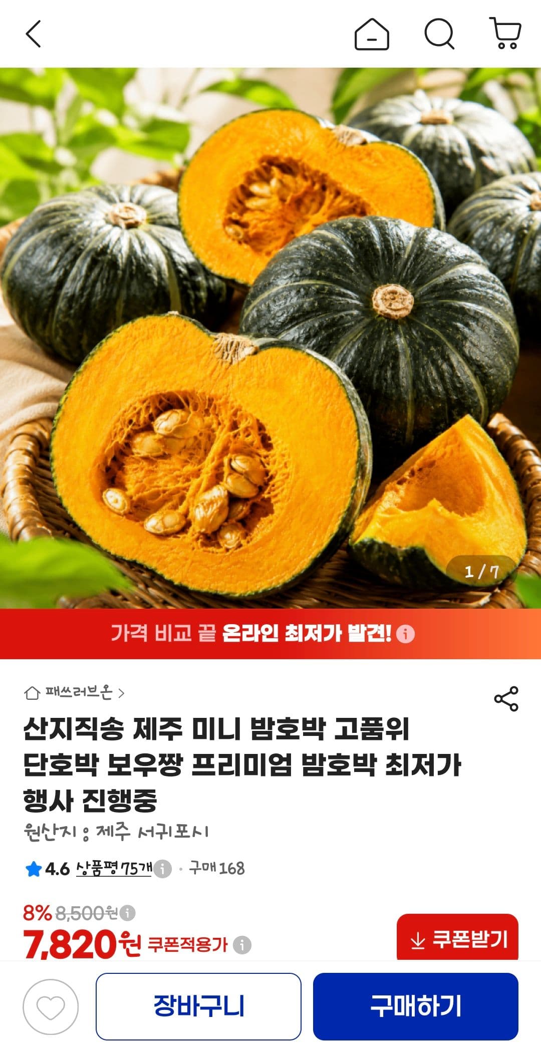 제주 미니 밤호박