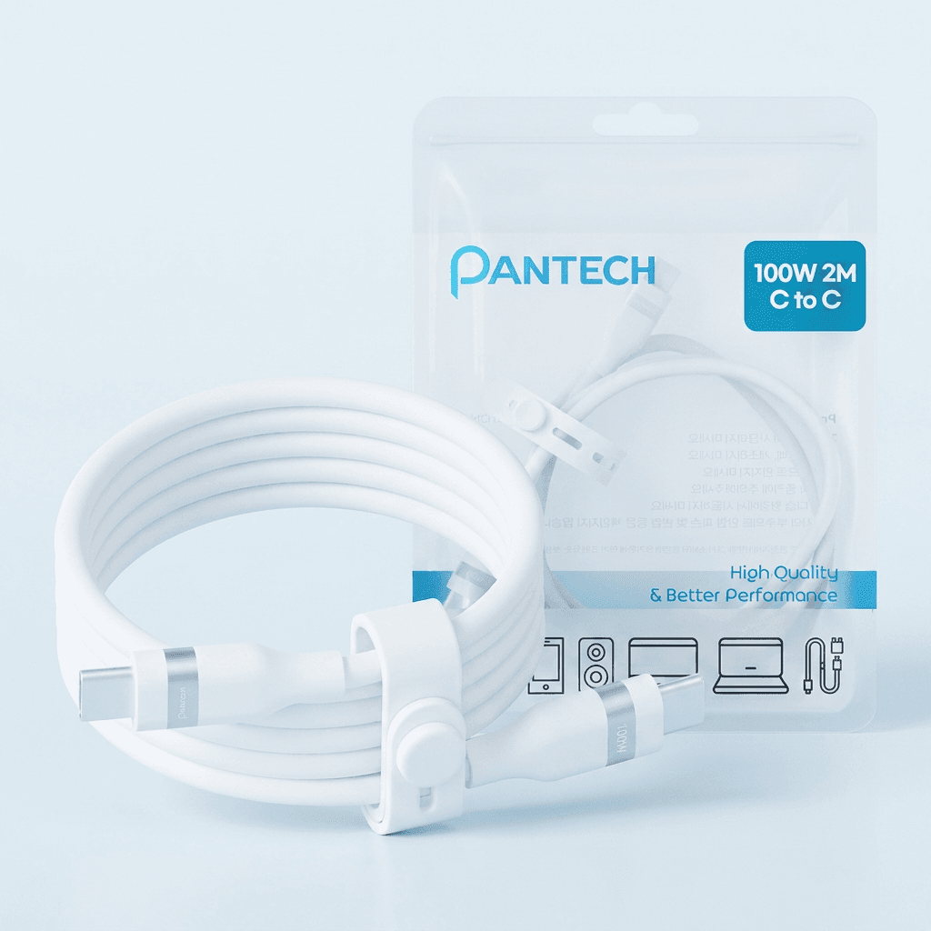 팬택 USB-C to C 100W 케이블
