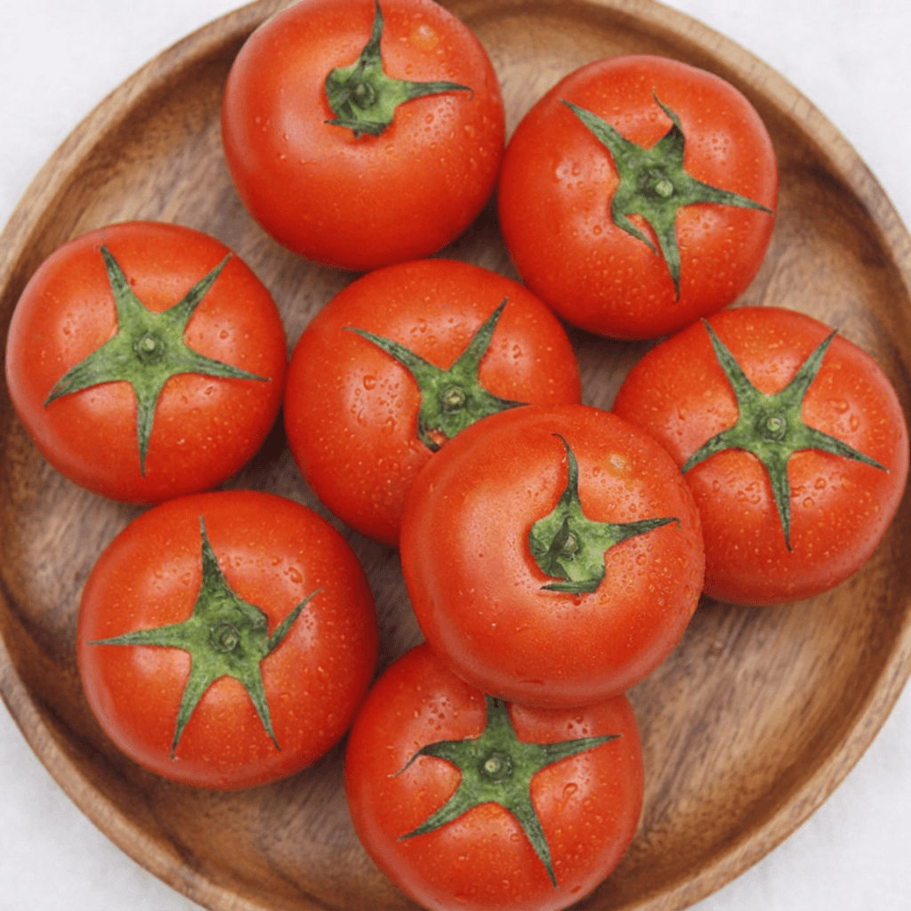 완숙토마토 5kg