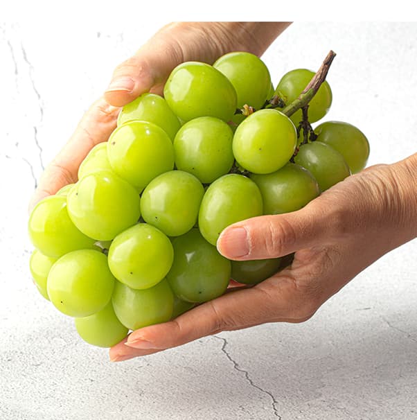 Shine Muscat Grapes 2kg