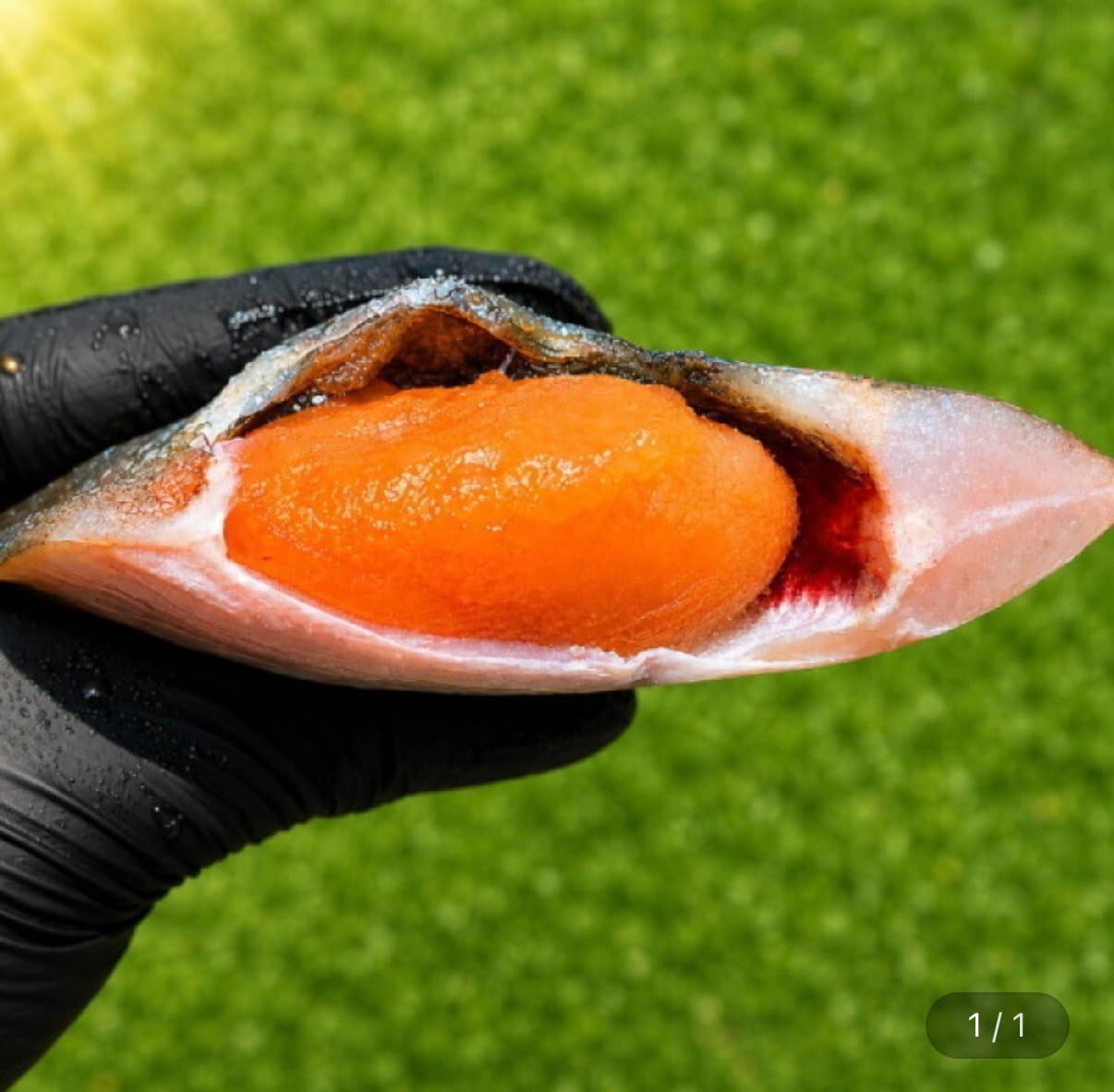 반건조 알 가자미 500g