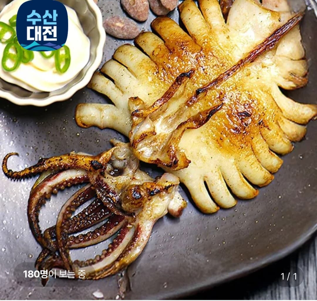 반건조 오징어 10미
