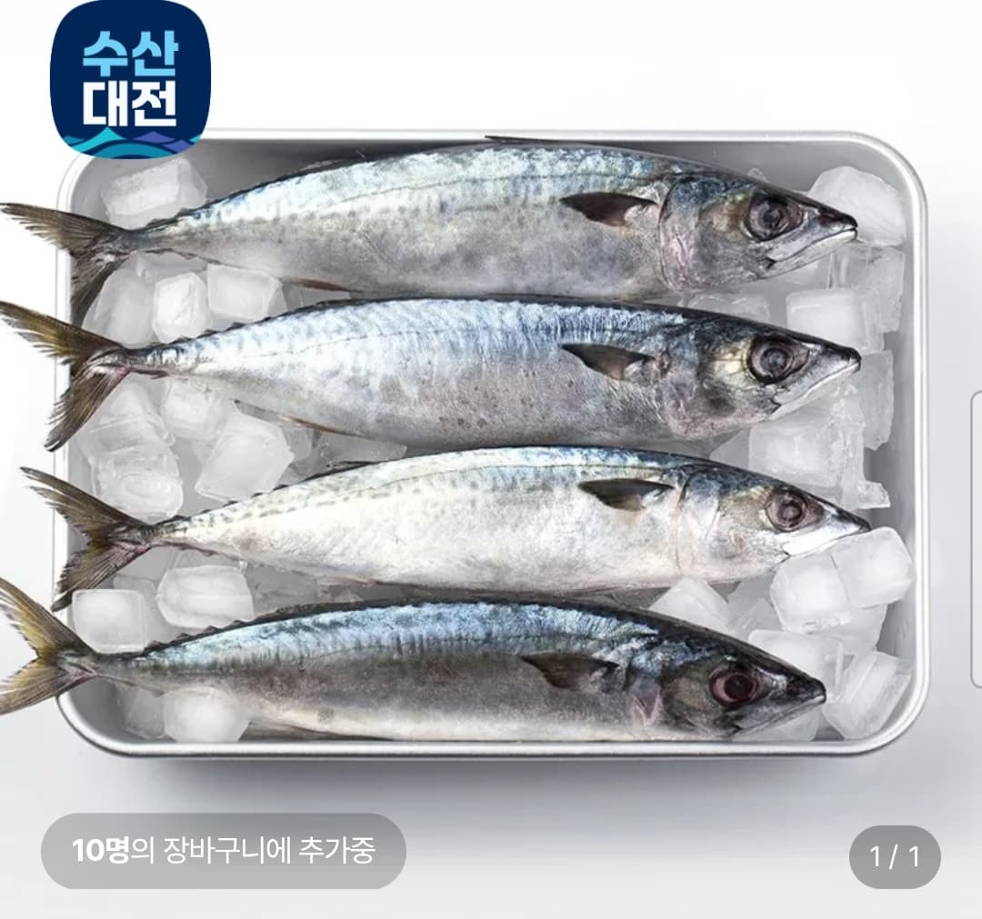 국내산 자반 고등어 10미