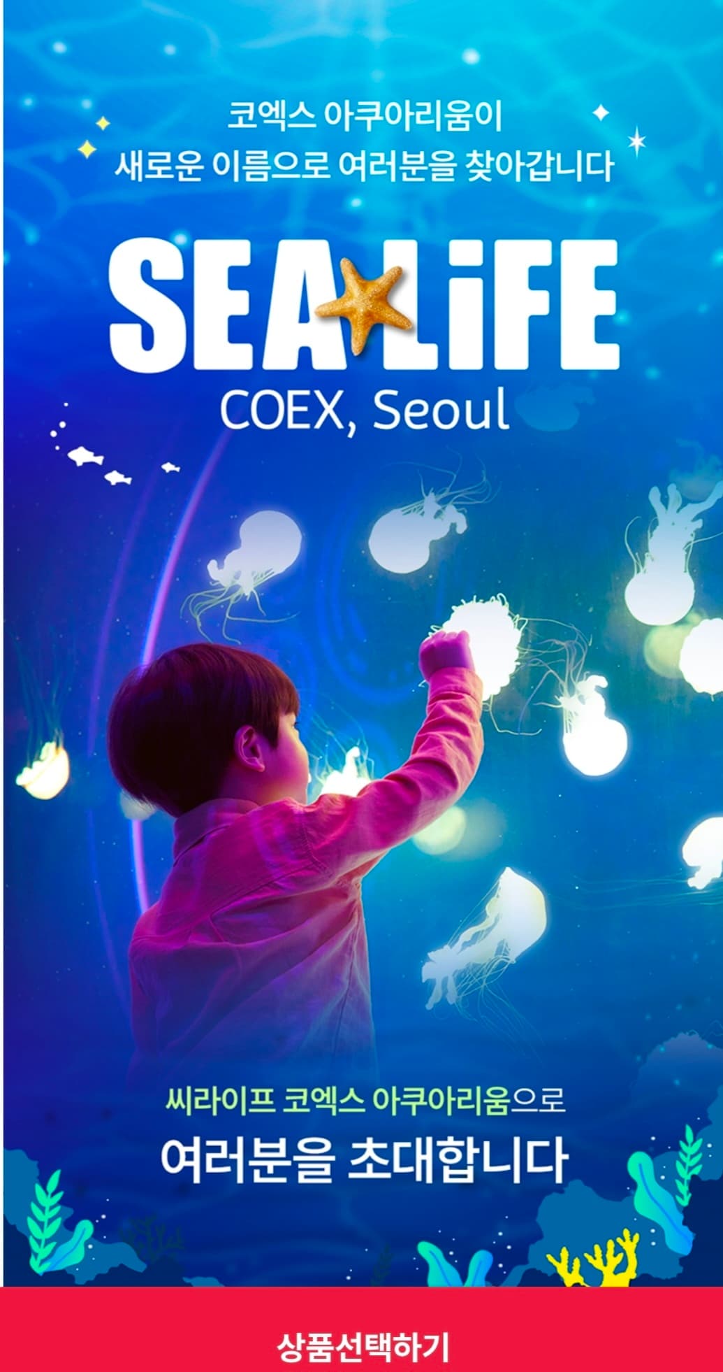 SEALIFE COEX 아쿠아리움 입장권