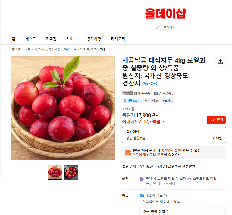 새콤달콤 대석자두 4kg