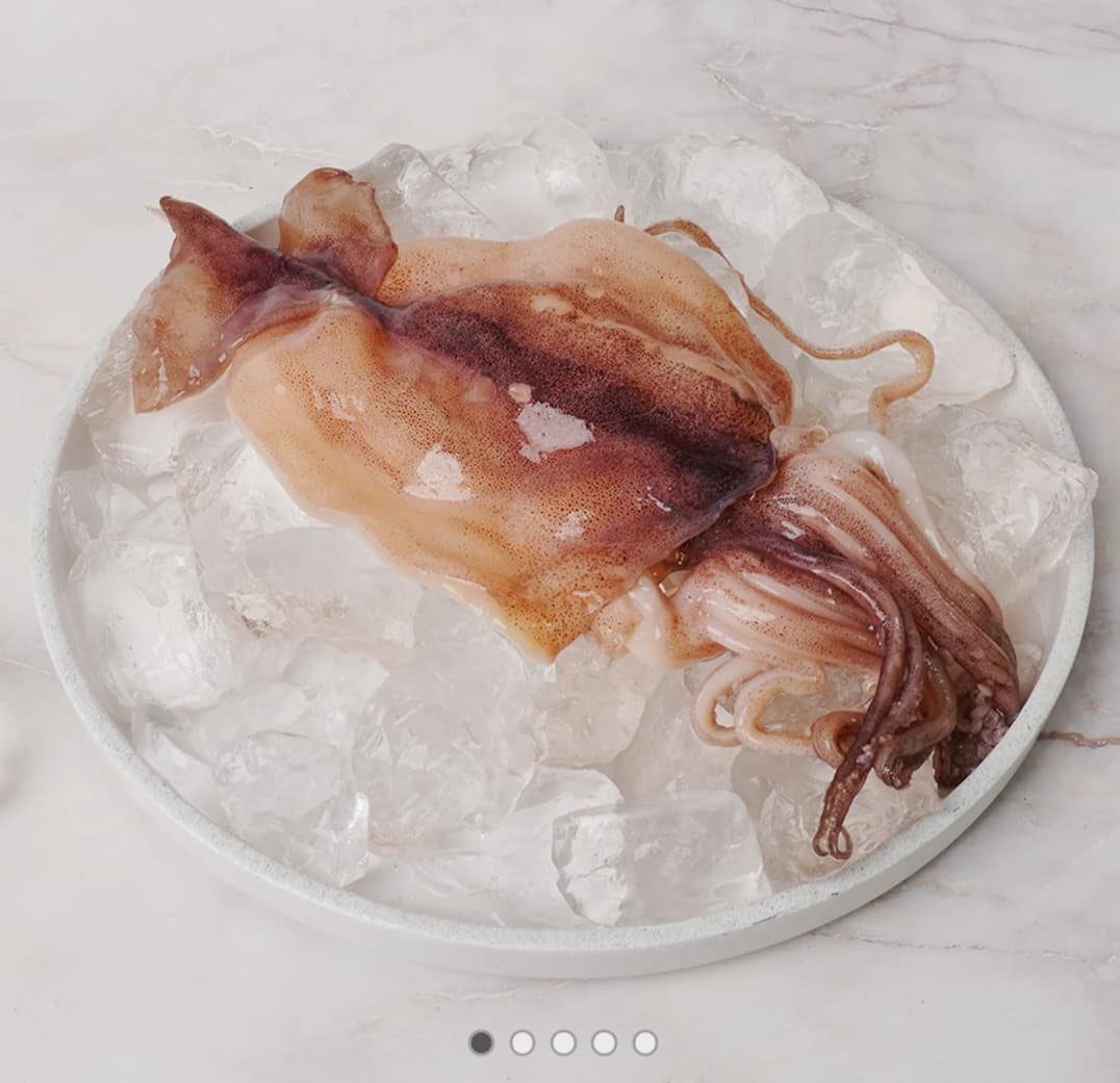 냉동오징어 구이·볶음용 500g