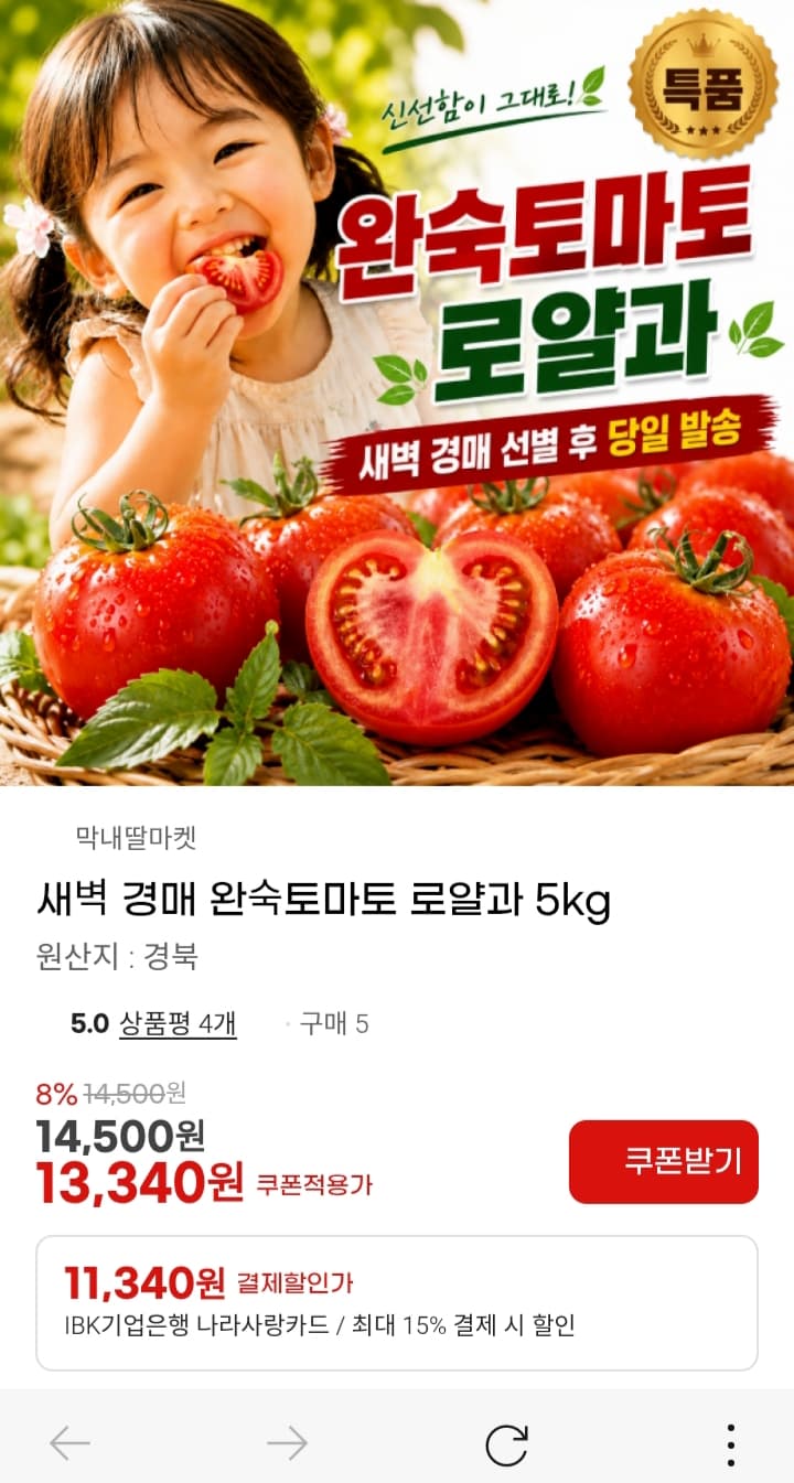 완숙 토마토 5kg