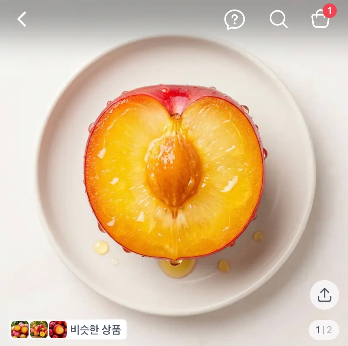 꿀과즙 자두 2kg