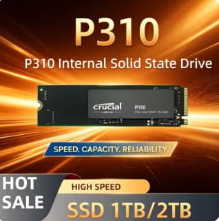 P310 1TB SSD