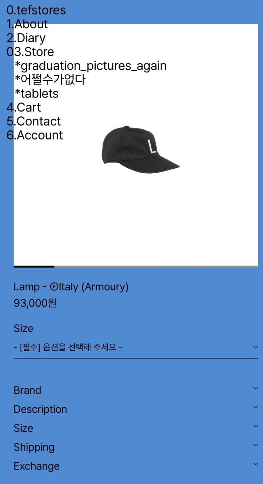 테프스스토어 모자 - 패션정보 - 어미새