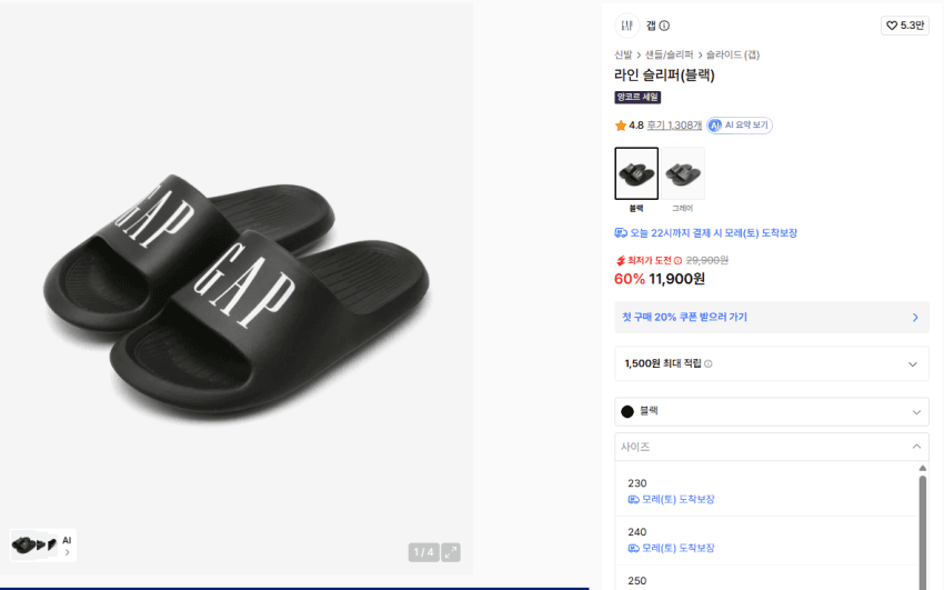 GAP Logo Slides