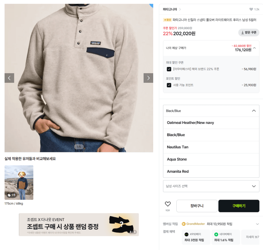 Patagonia Synchilla Snap-T Pullover