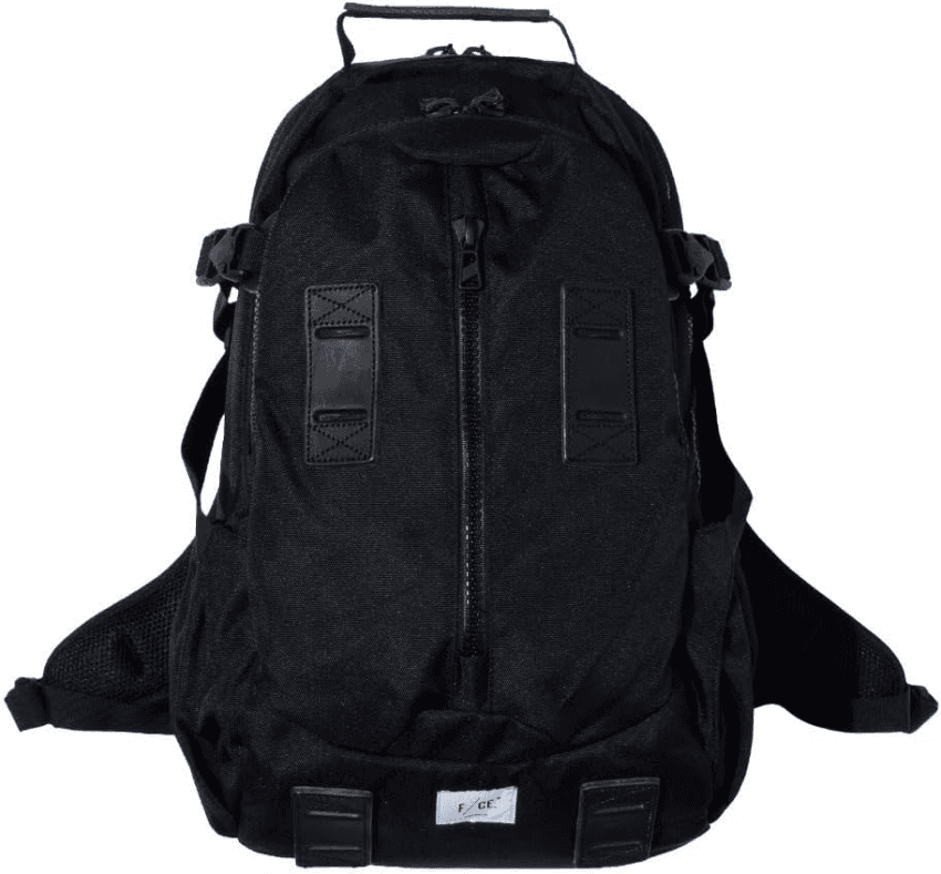 F/CE 950 Travel Backpack