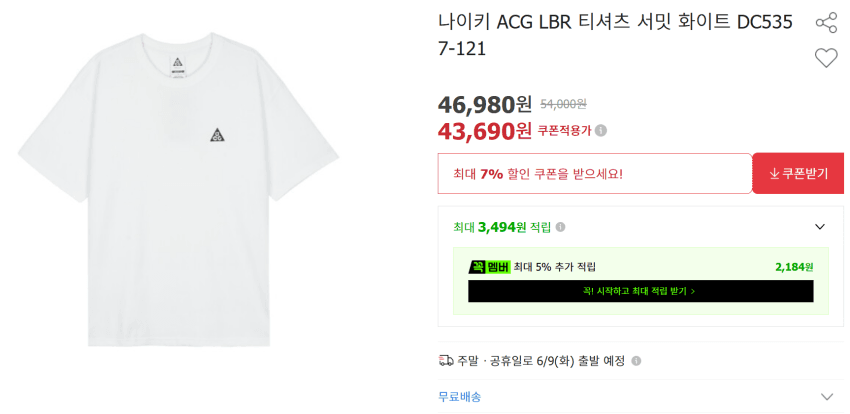 나이키 ACG LBR 티셔츠