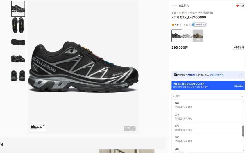 Salomon XT6 GTX 블랙실버