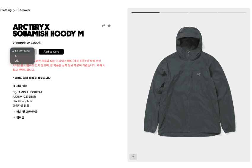 Arc'teryx SQUAMISH HOODY
