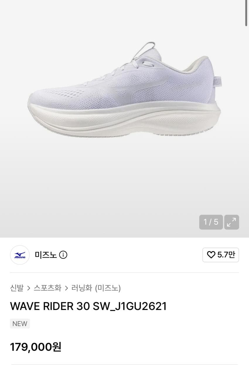 Mizuno Wave Rider 30