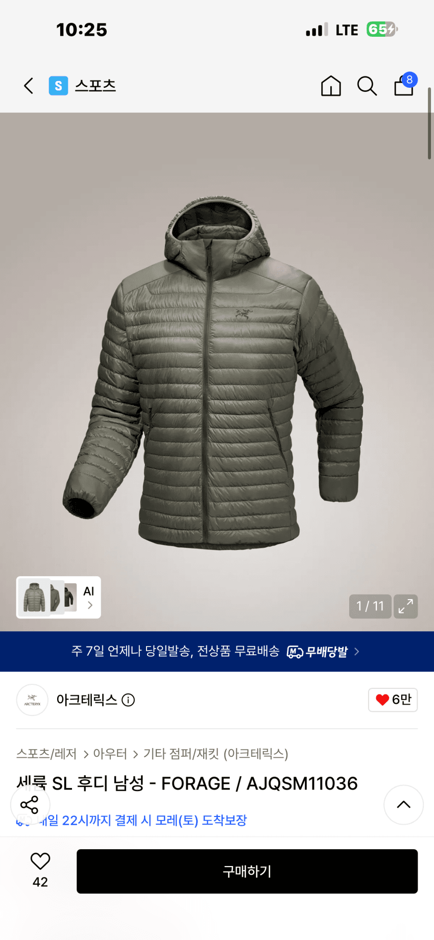 Arc'teryx 세륨 SL 후디