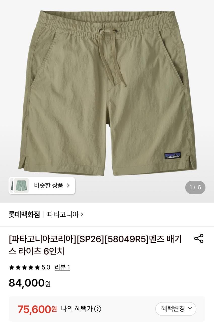 Patagonia 배기스 라이즈 6인치