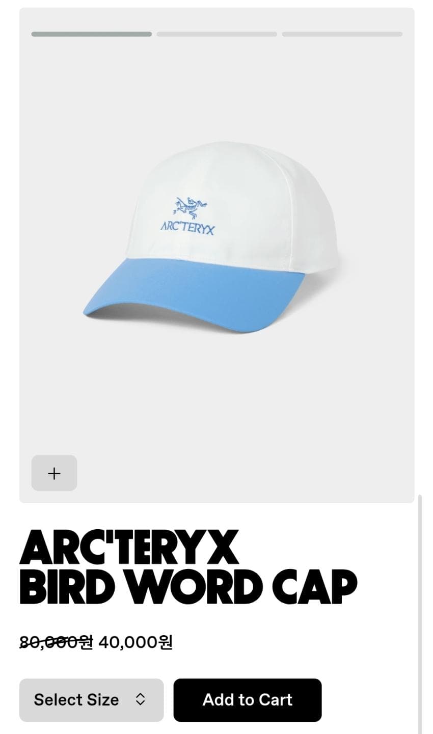 Arc'teryx Bird Word Cap