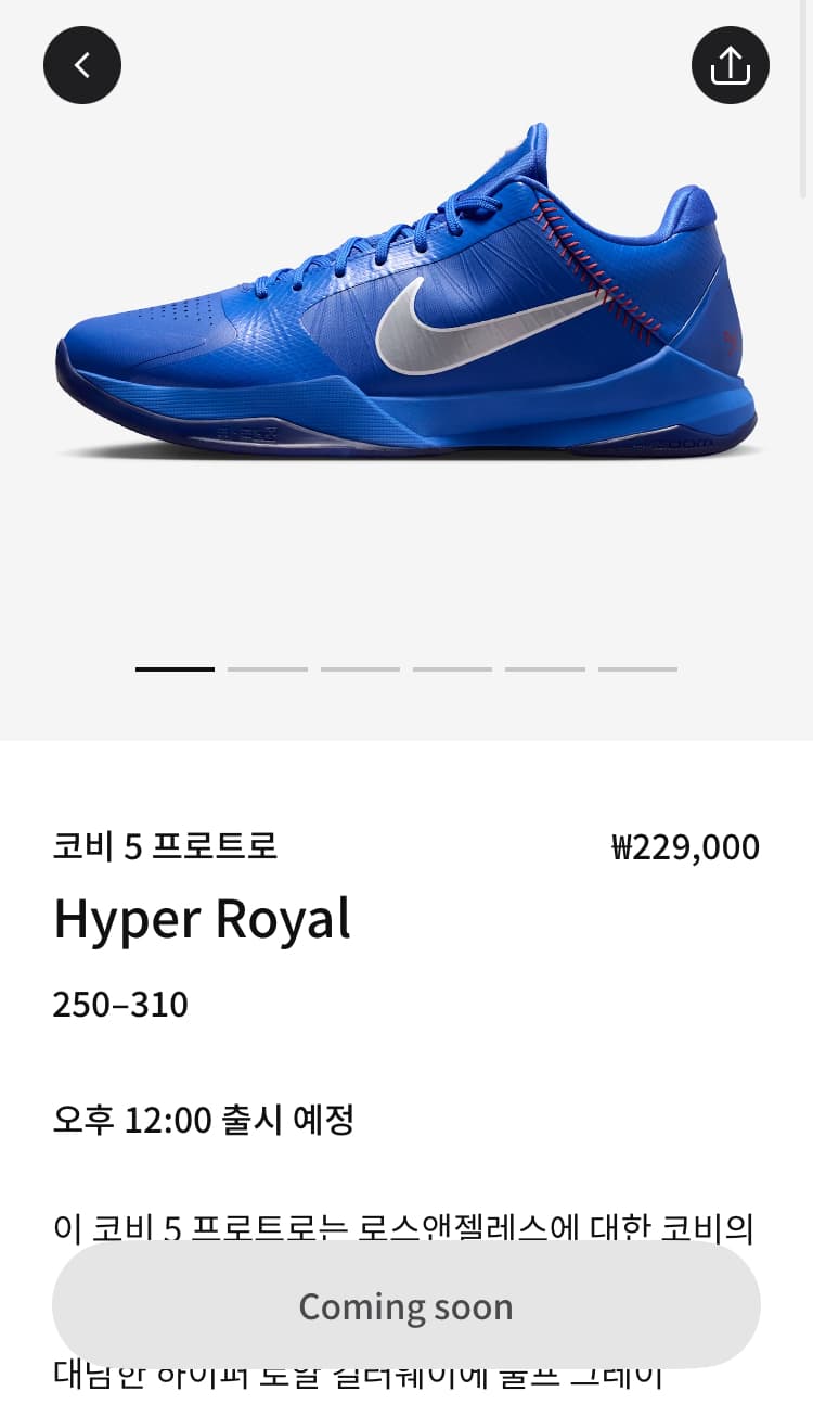 나이키 에어 조던 5 프로트로