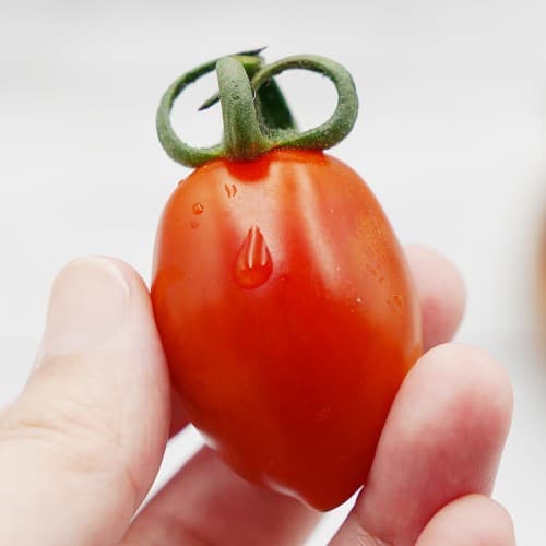 Daechu Cherry Tomatoes 2kg
