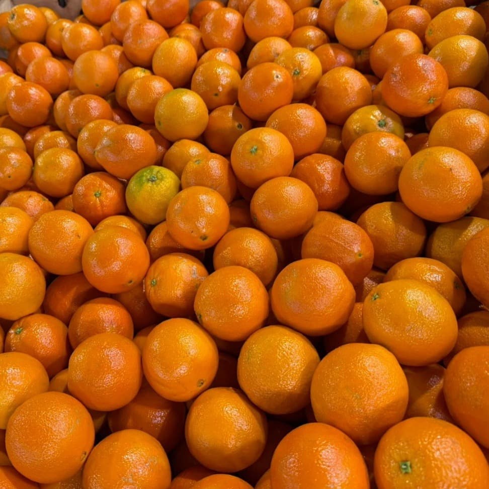Australian Orange 4kg 19-21pcs