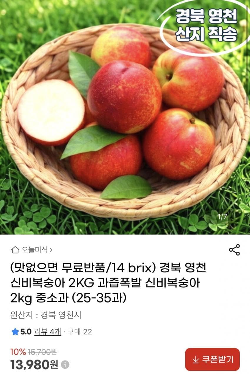 영천 신비복숭아 2kg