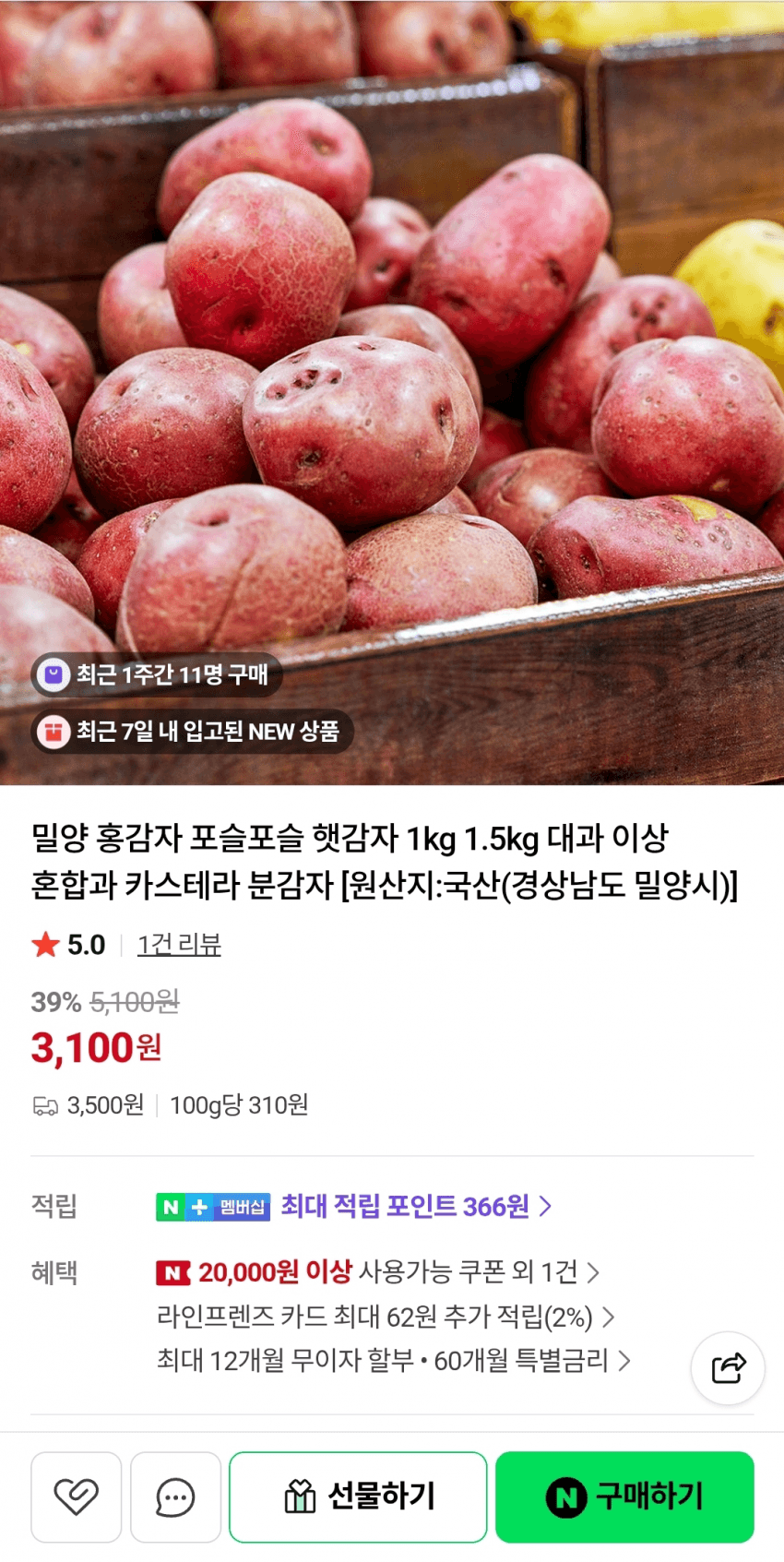햇감자 1kg~1.5kg