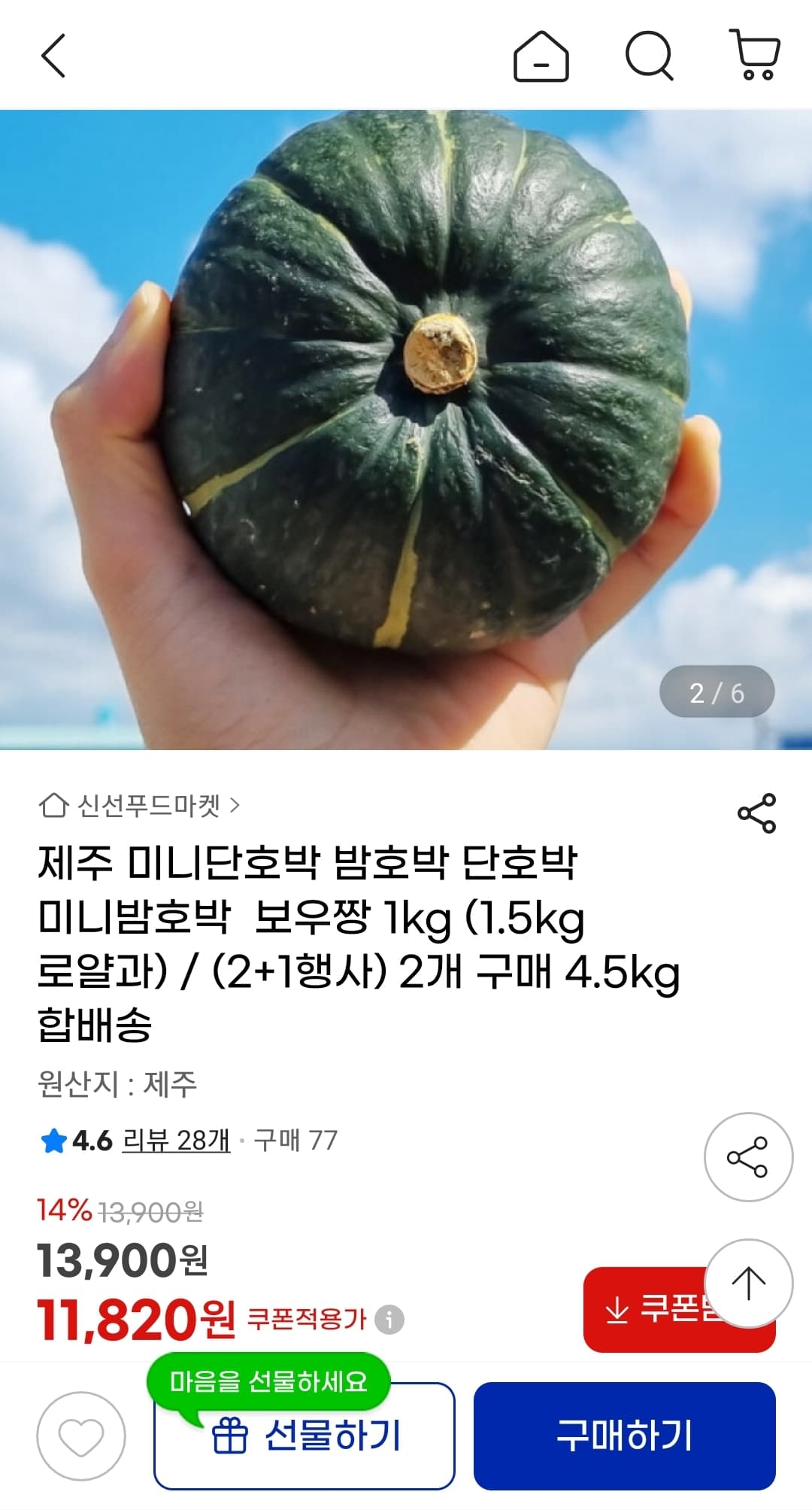 제주 미니단호박(보우짱) 1.5kg 로얄과