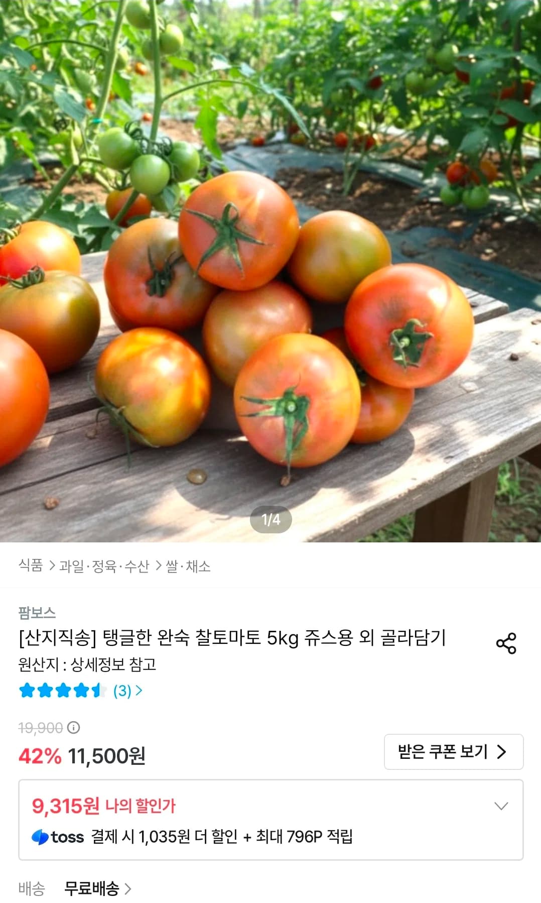 Ripe Cherry Tomato 5kg for Juice