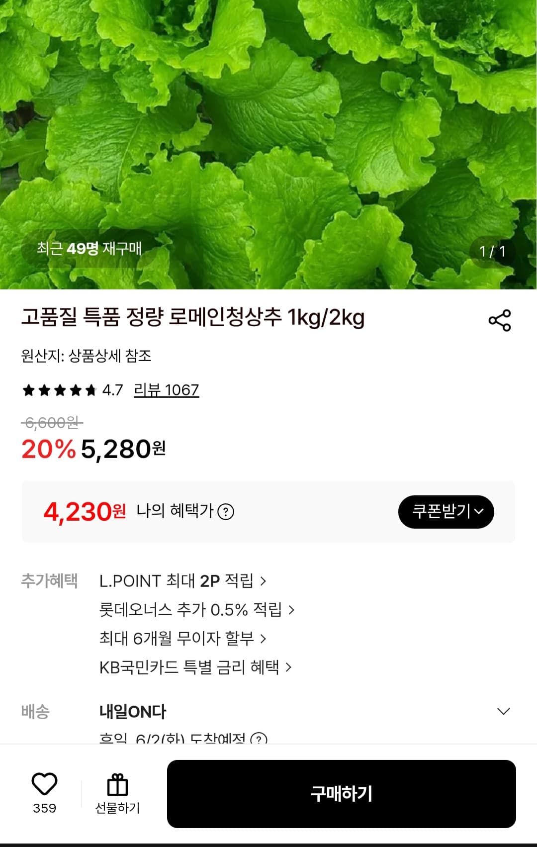 특품 정량 로메인청상추 1kg