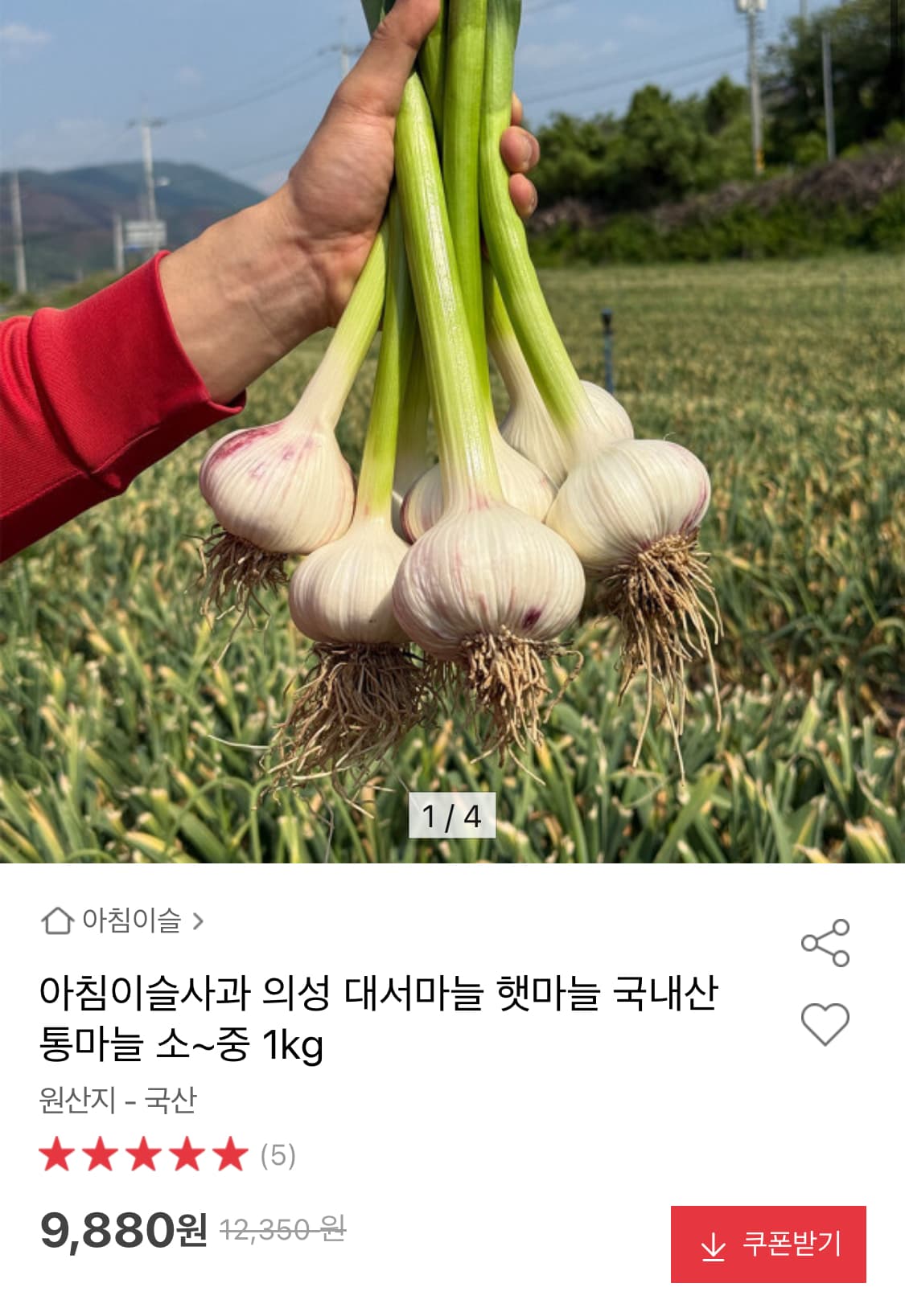 국내산 햇 통마늘 소~중 1kg