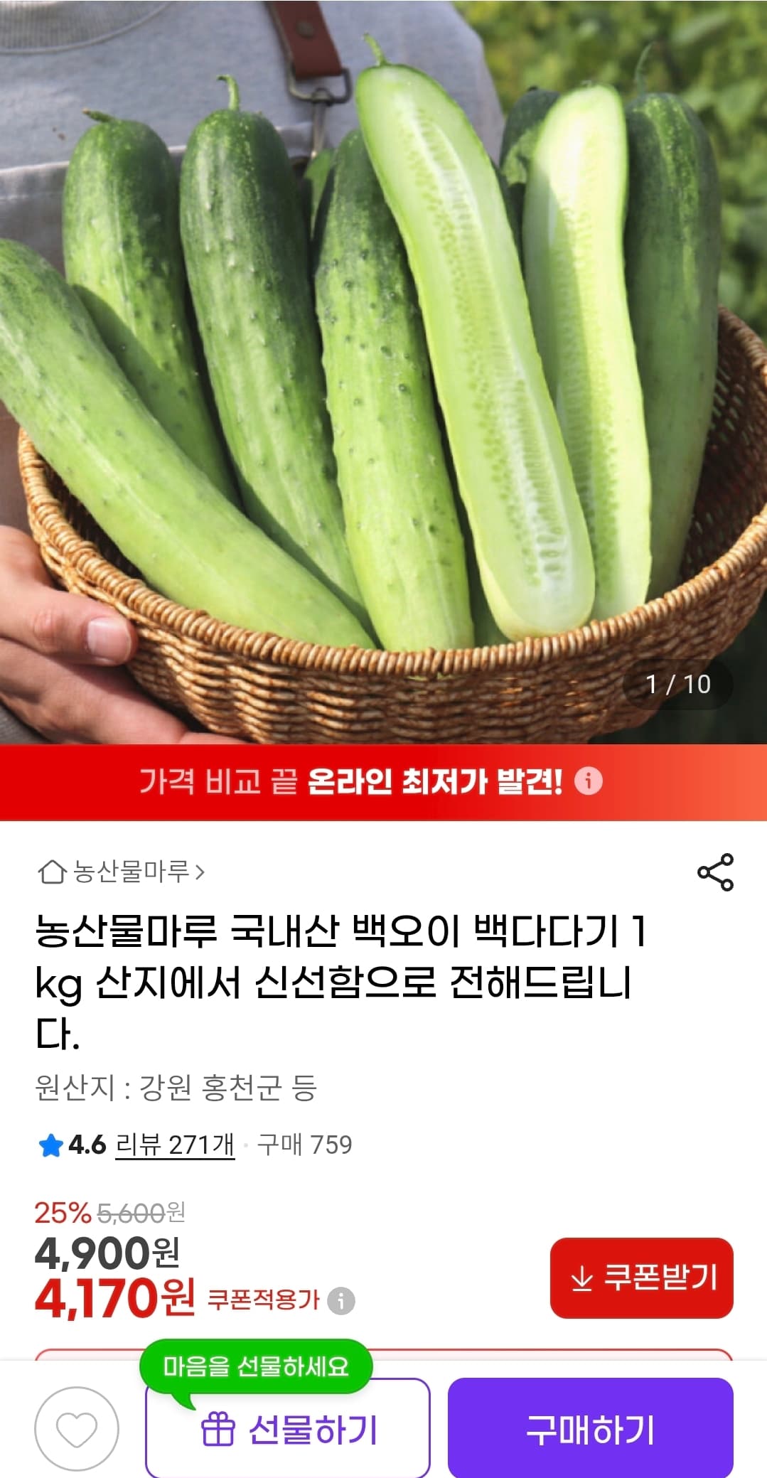 백오이 2kg