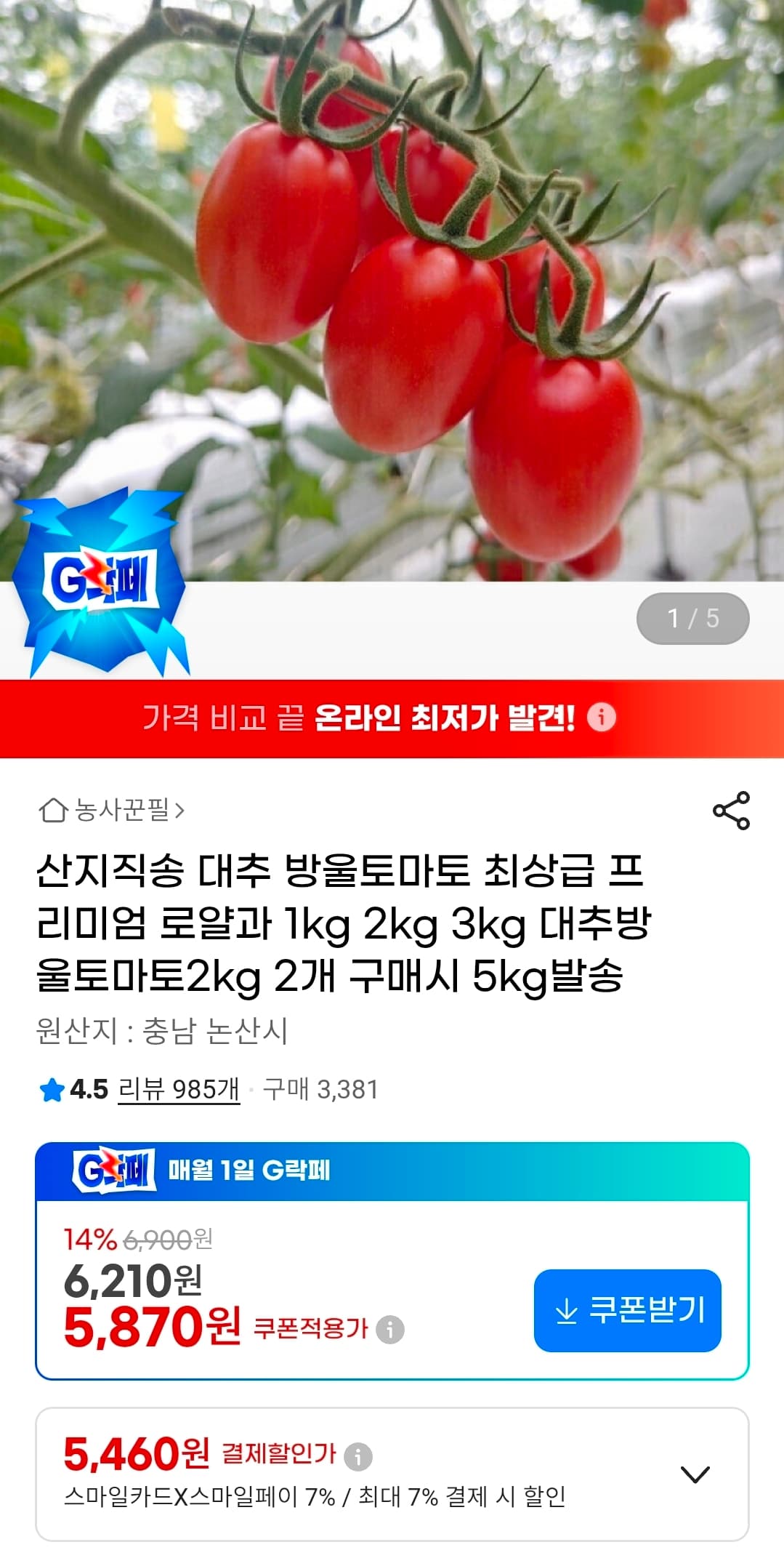 산지직송 대추 방울토마토 로얄과 1kg