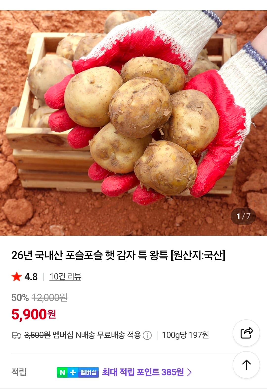 국내산 햇 감자