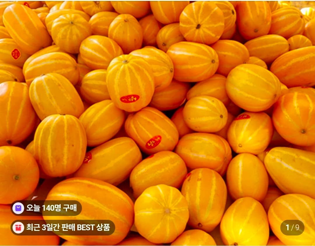 성주 꿀 참외 5kg