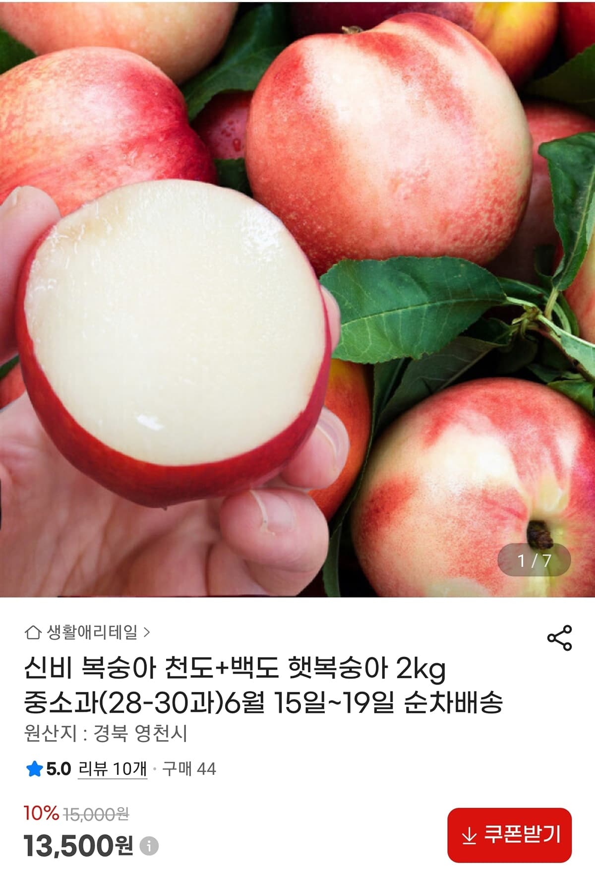신비복숭아 중소과 2kg