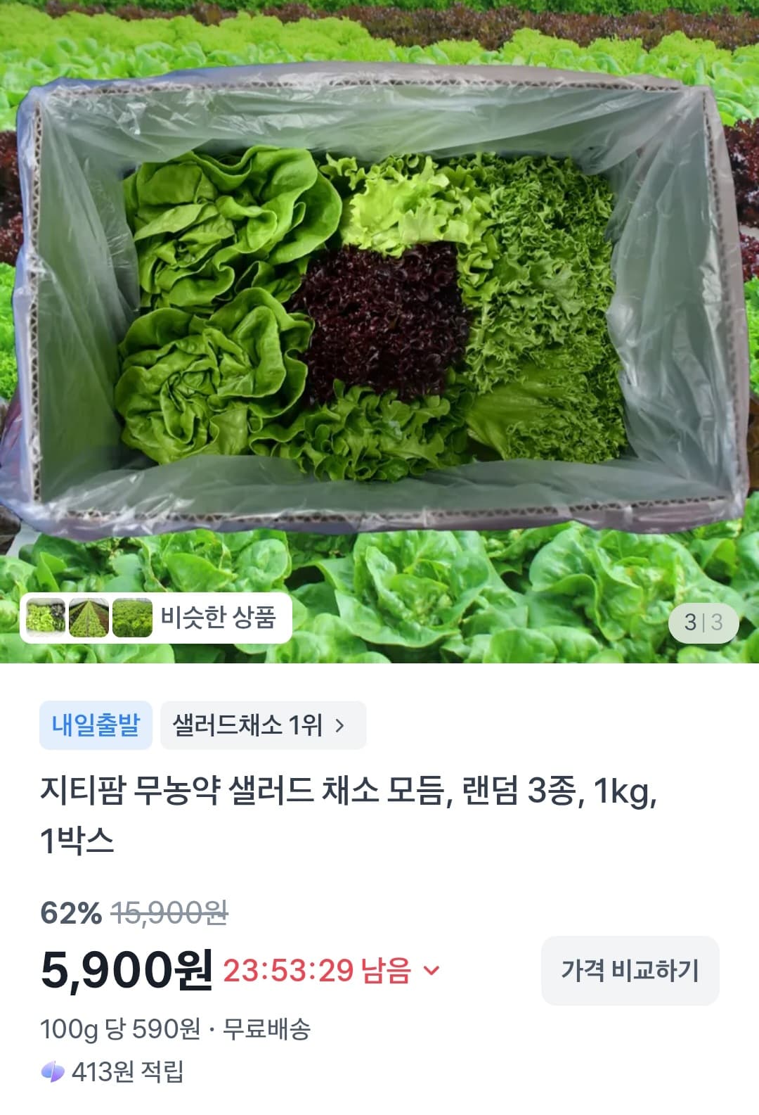 지티팜 무농약 샐러드 1kg