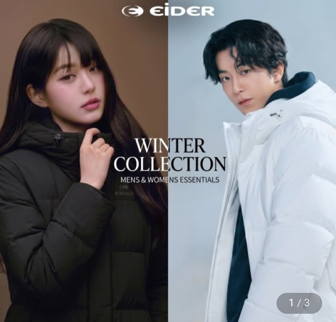 EIDER 스테롤 구스다운