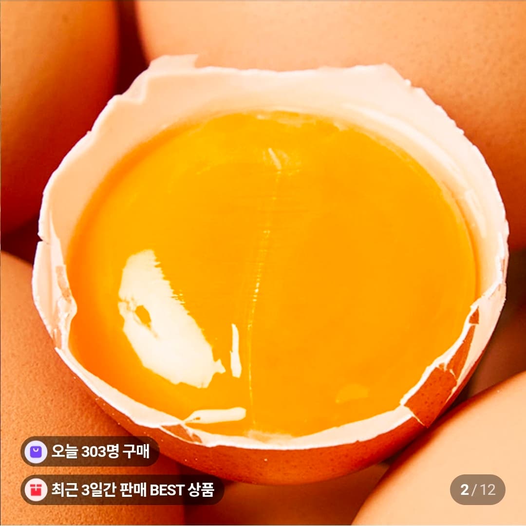 유정란 20구