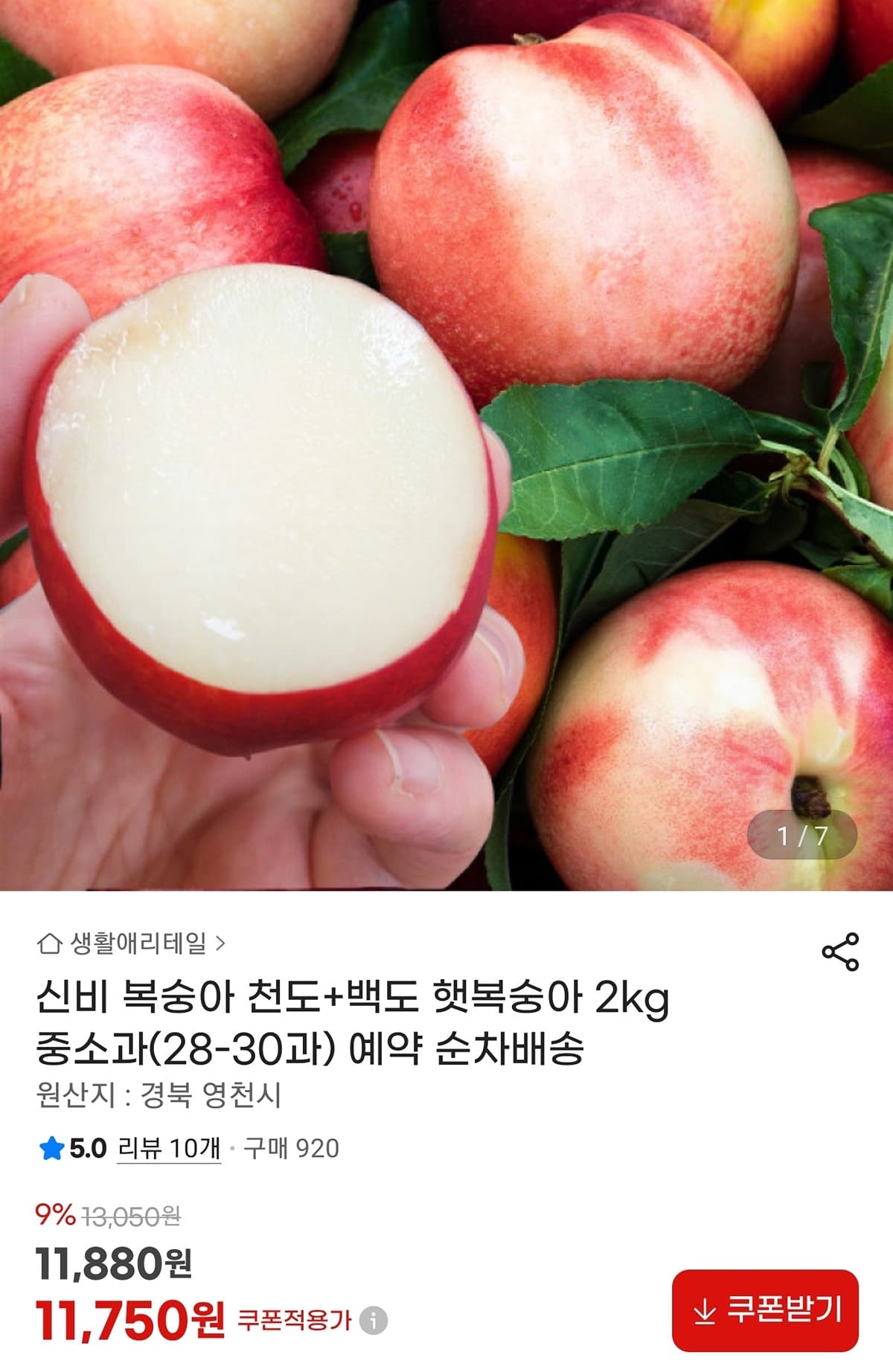 신비 복숭아 2kg
