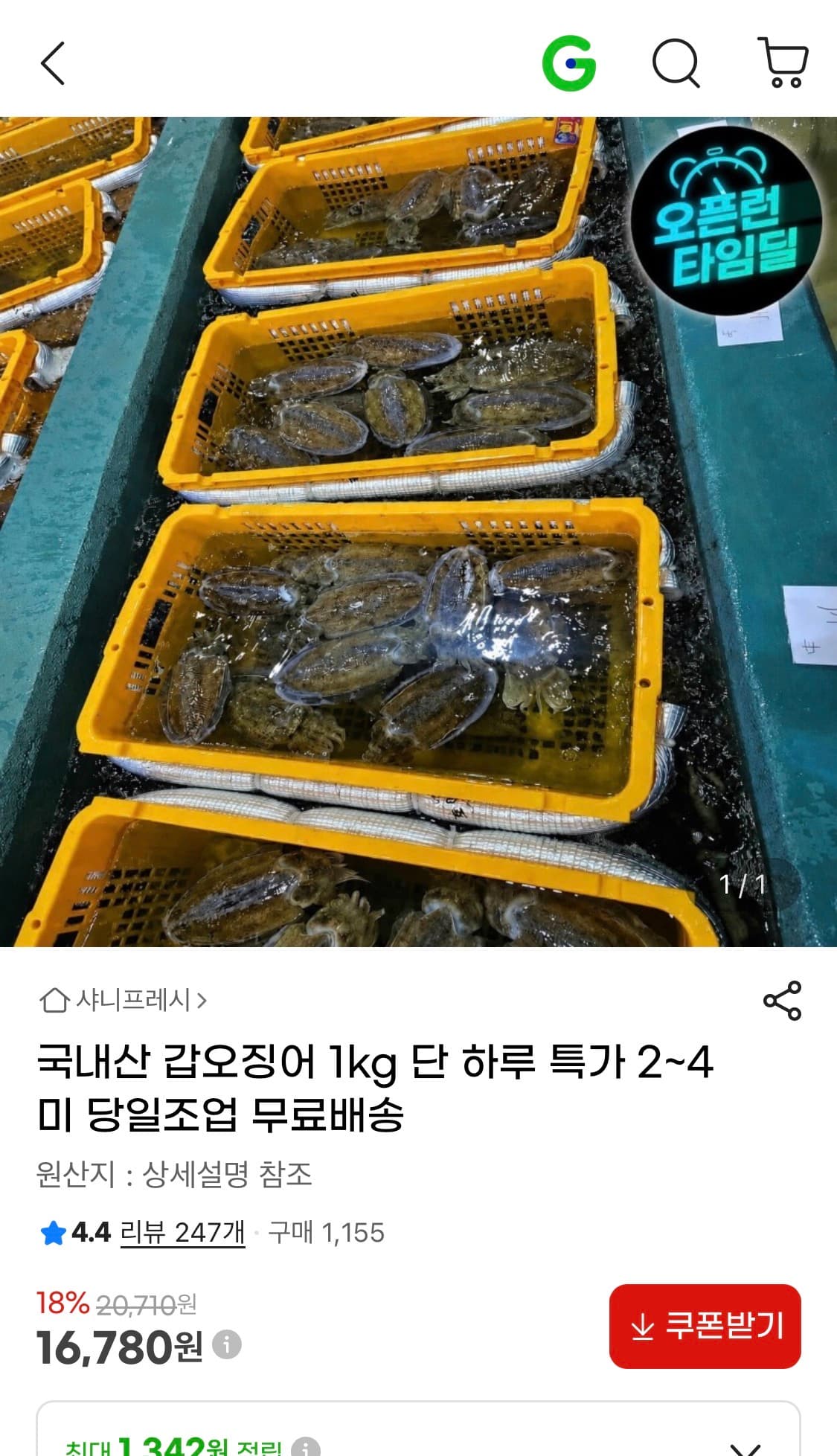 국내산 갑오징어 1kg