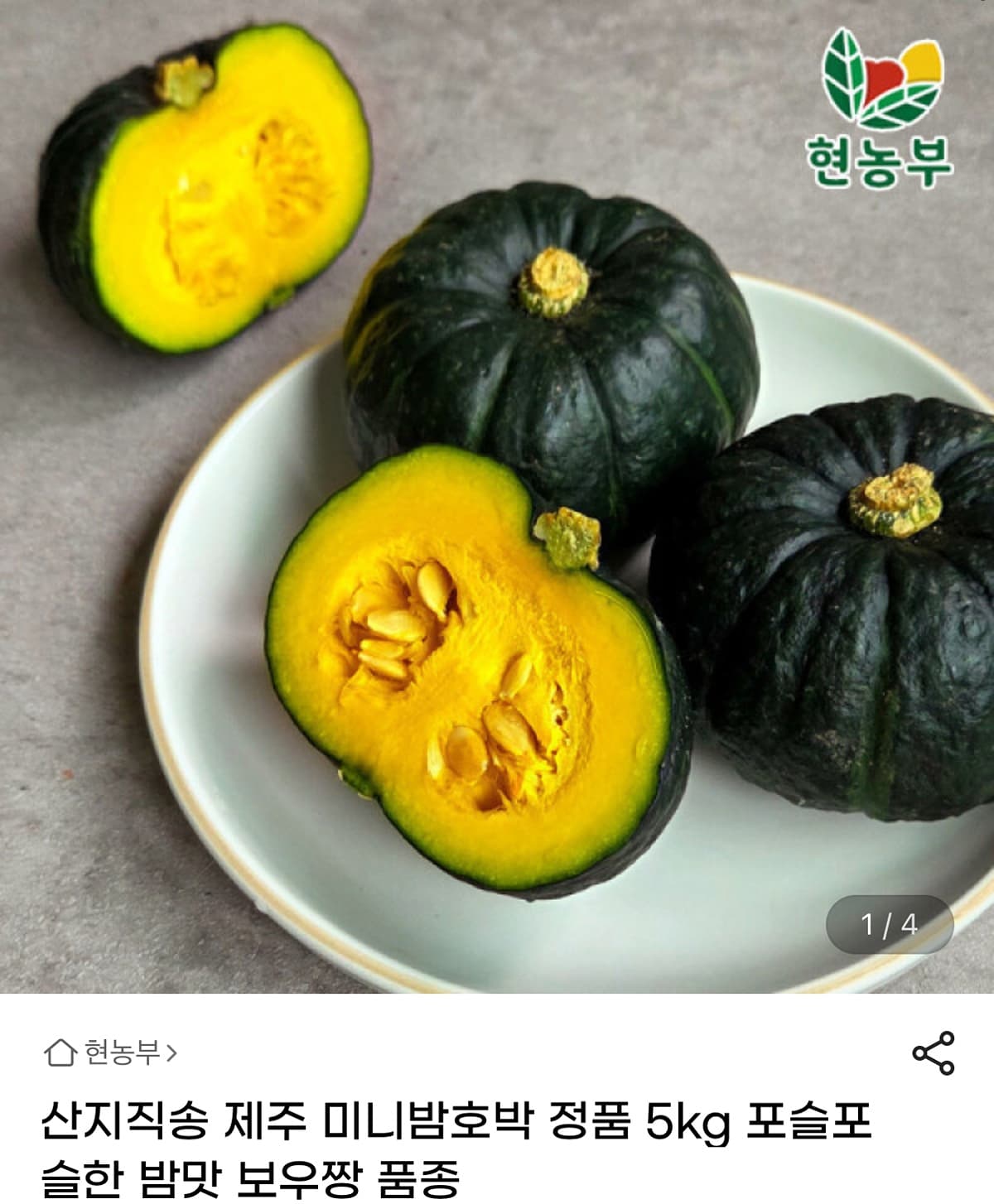 제주 미니밤호박 5kg