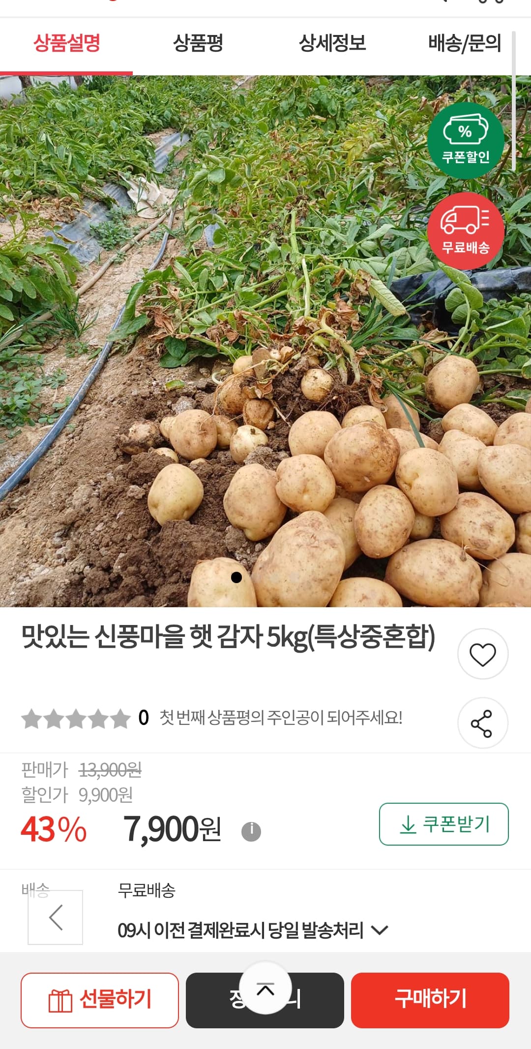 신풍마을 햇 감자 5kg