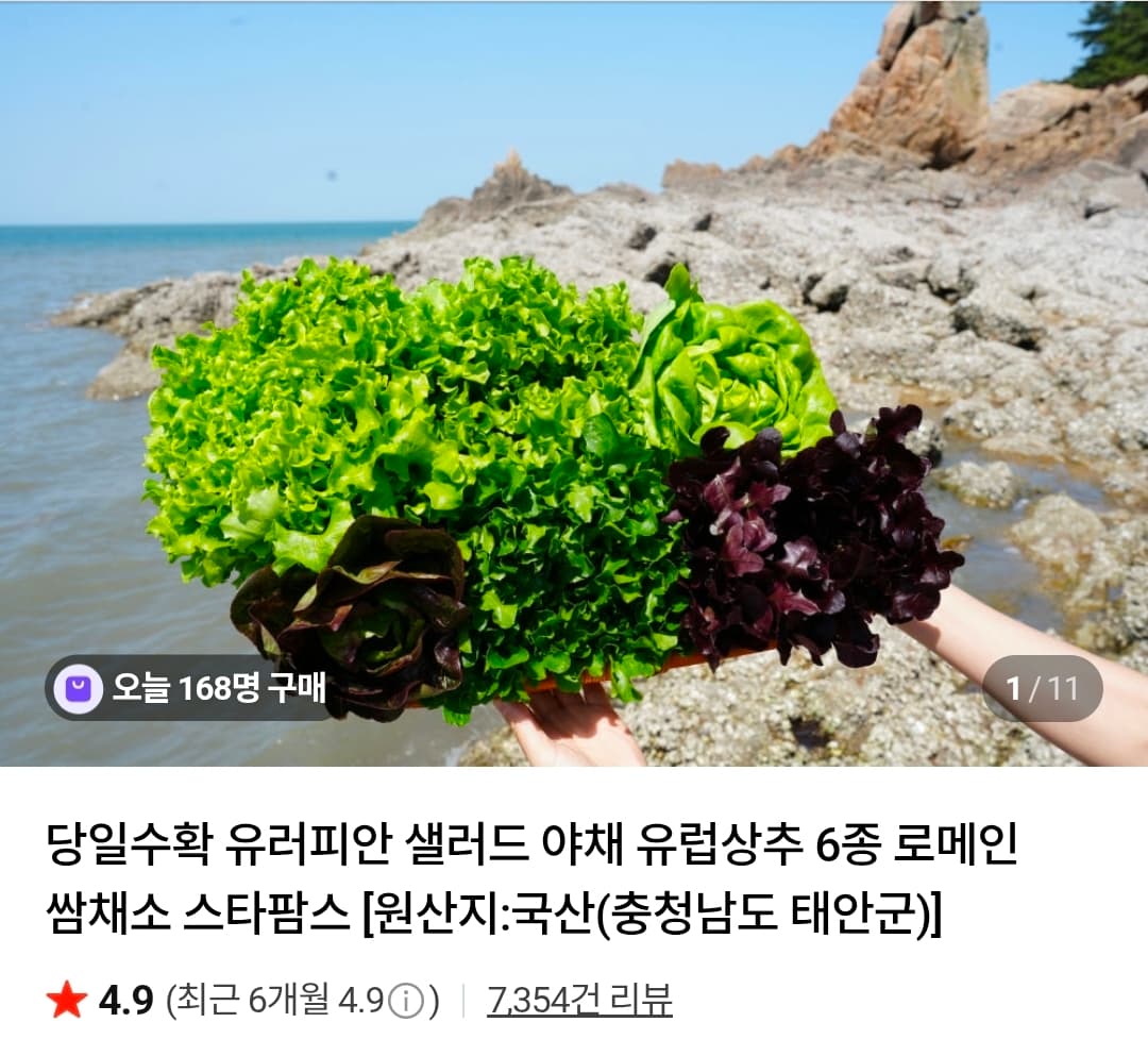 유러피안 샐러드 6종 1kg