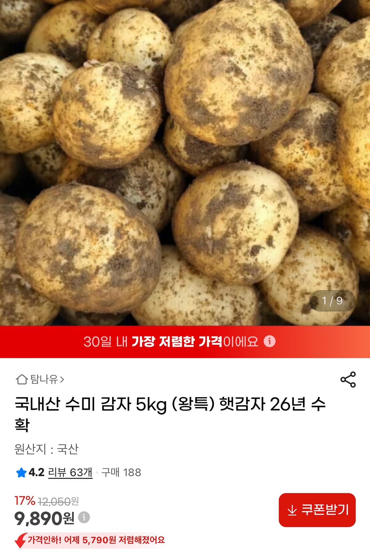 26년산 감자 왕특 5kg