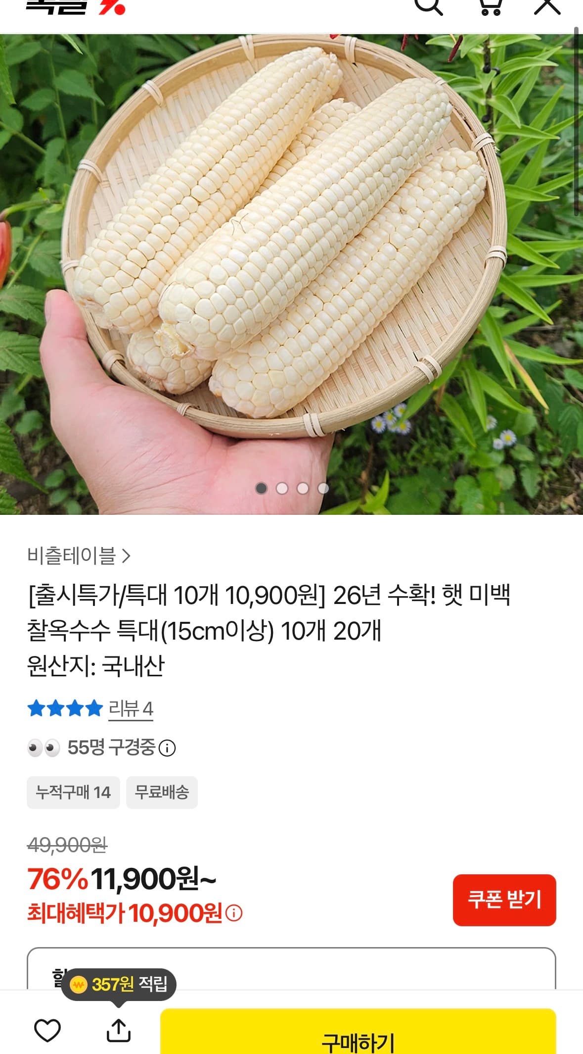 미백 찰옥수수 10개
