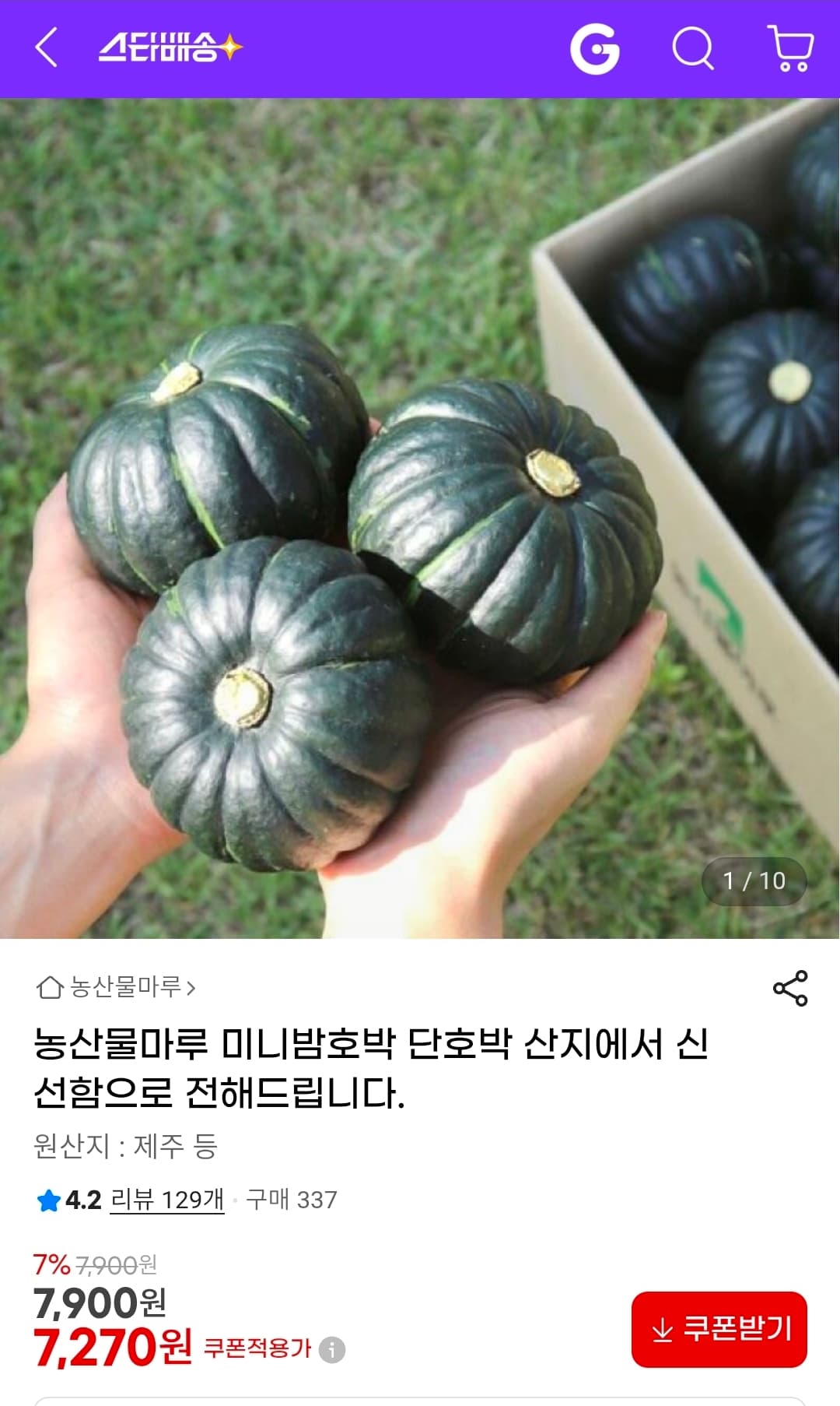 미니밤호박 1kg